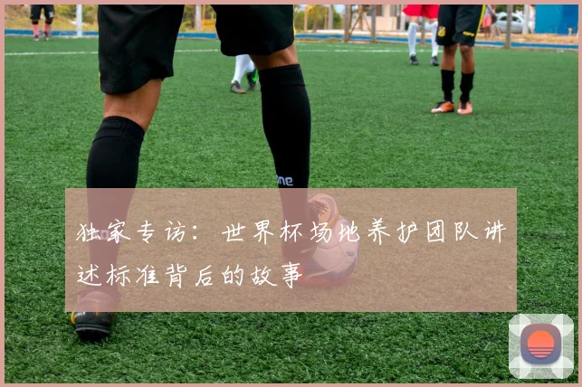 独家专访：世界杯场地养护团队讲述标准背后的故事