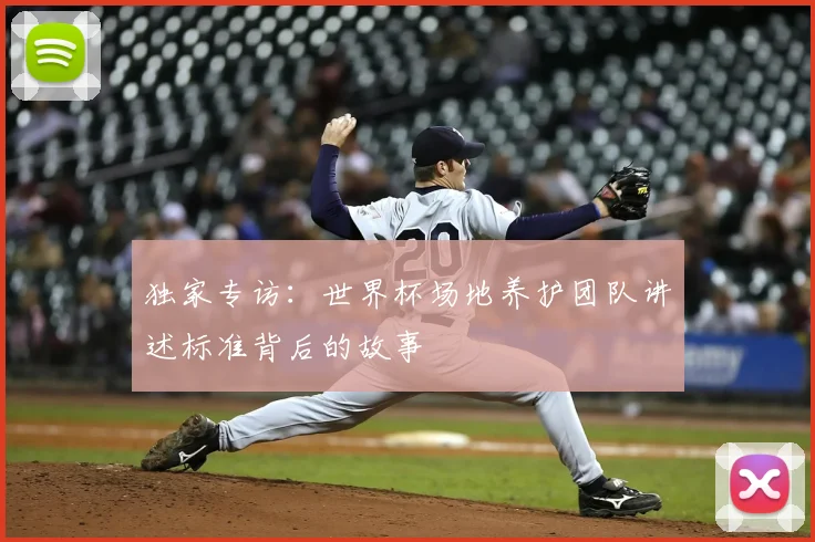 独家专访：世界杯场地养护团队讲述标准背后的故事