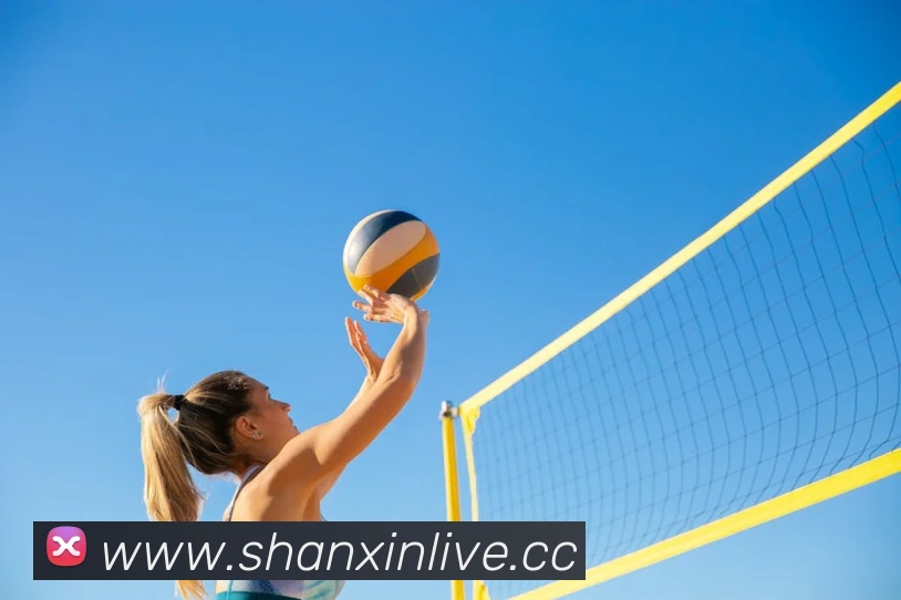 App Interface Preview