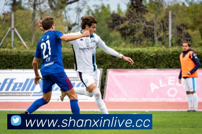 leyu乐鱼官方版APP 封面图